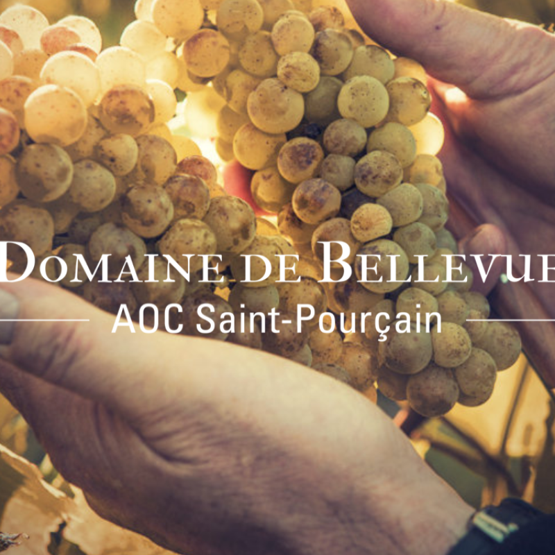 Domaine de Bellevue