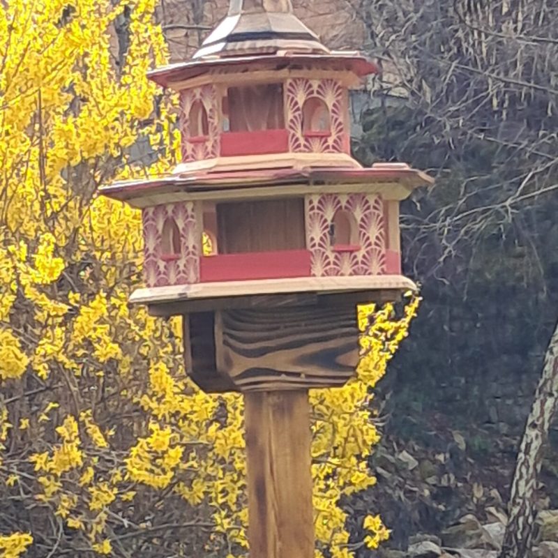 20250327_101618_resized