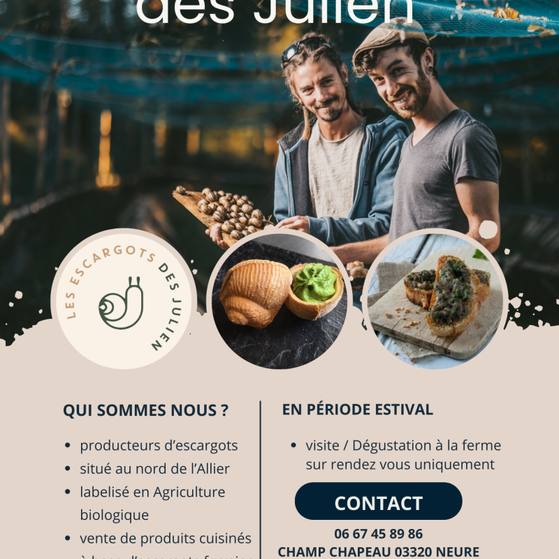 Bleu Foncé Chocolat Photo Nourriture Flyer (4)