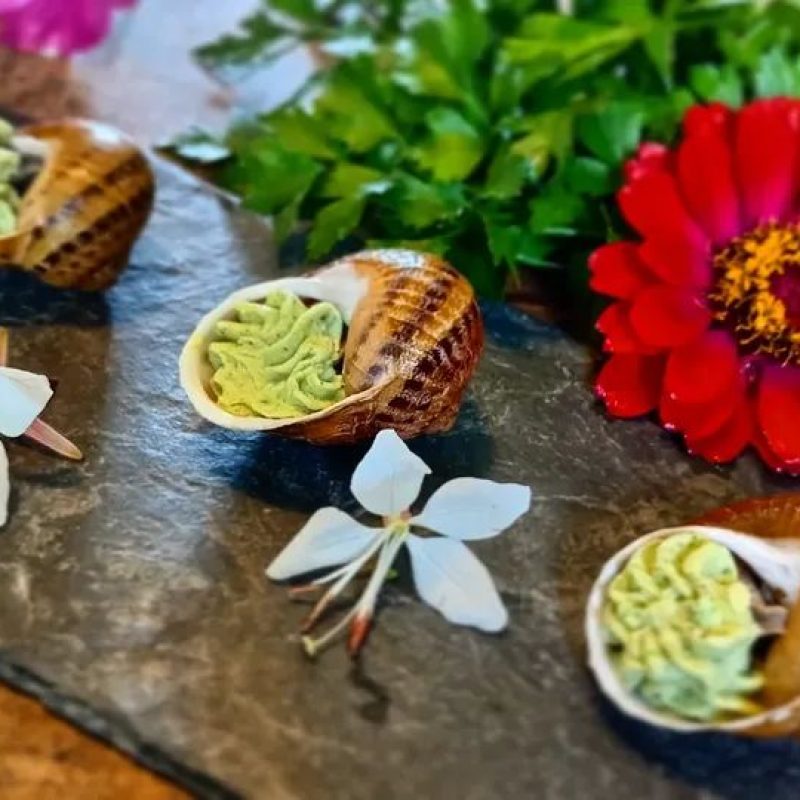 FB_IMG_1757944522570