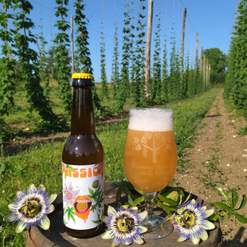 IMG_20250616_182304 modif