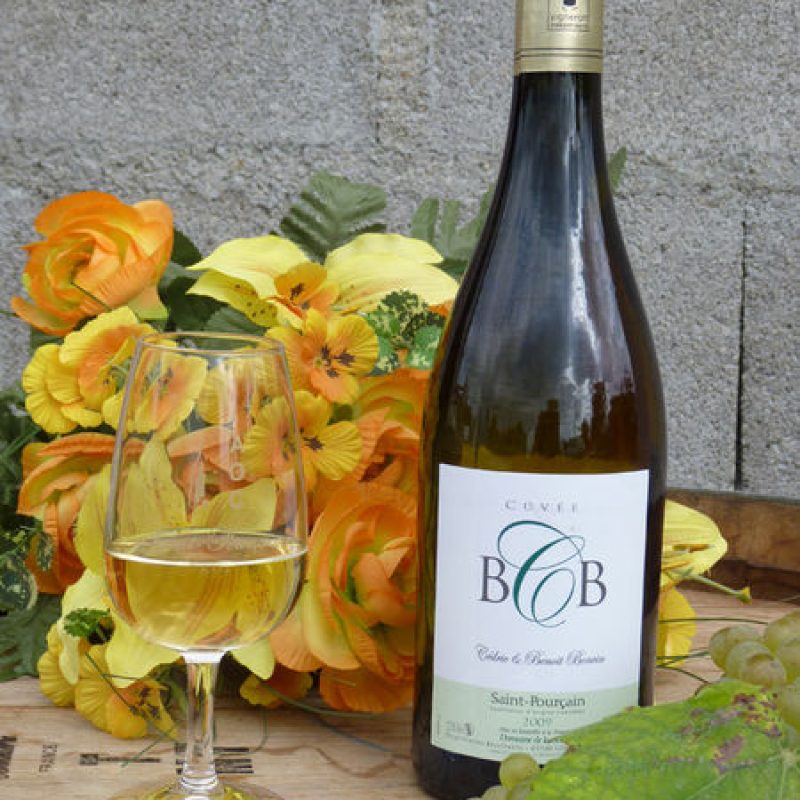 Cave Bonvin - EARL du domaine de la sourde