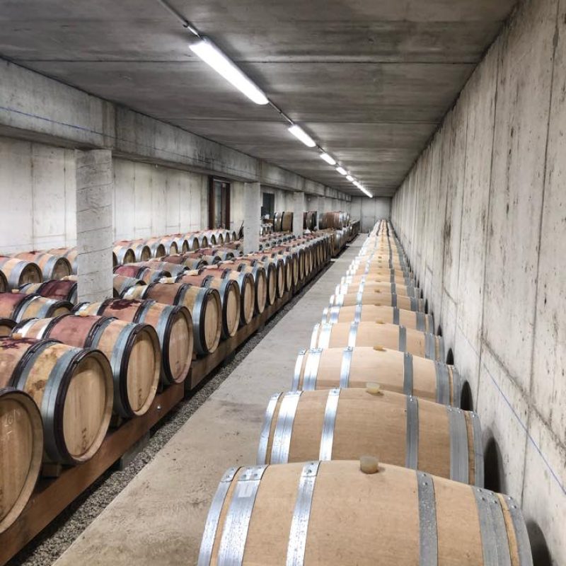cave à fûts